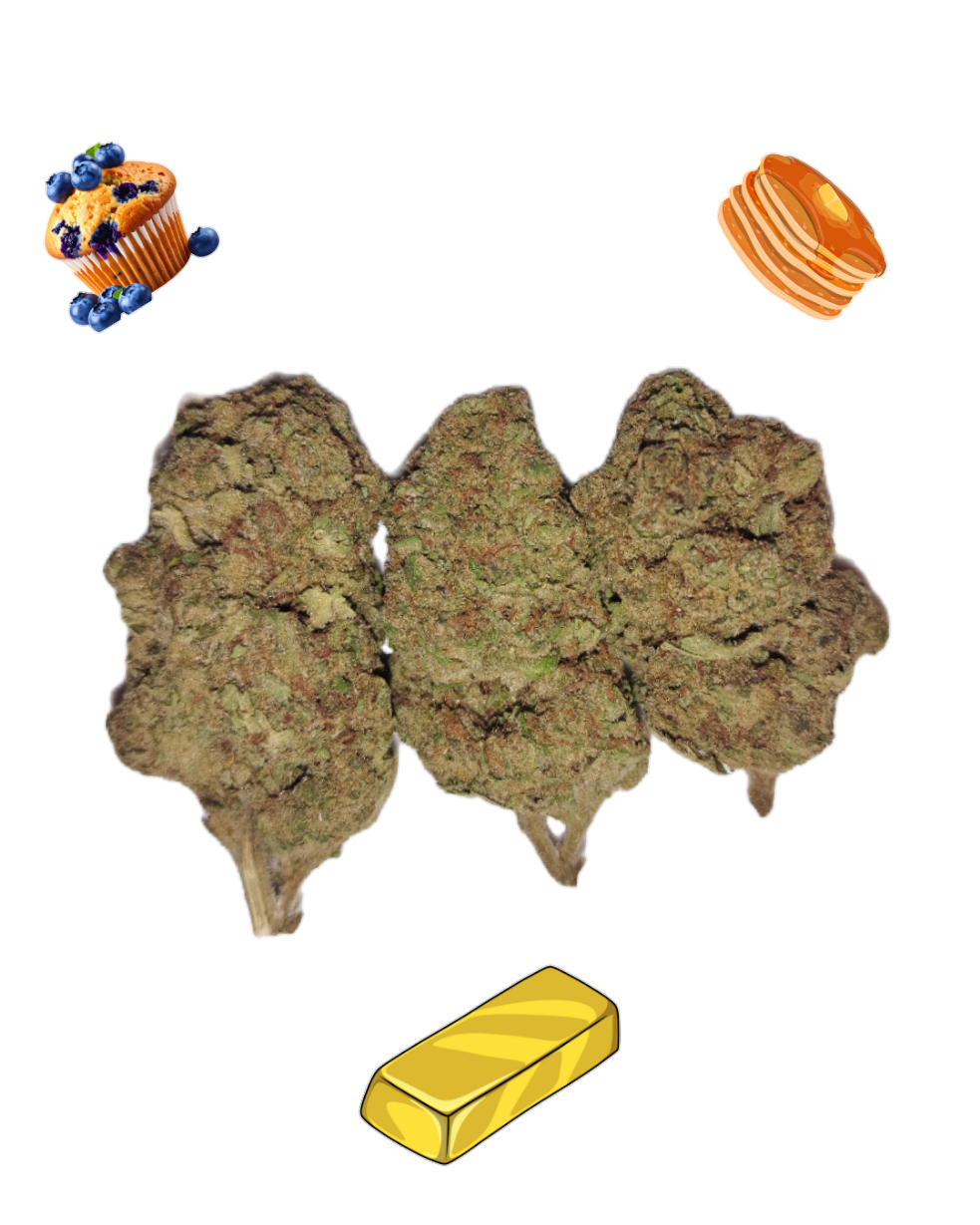 Blueberry Pancakes-Gold Tier-THCa(Indica) / 1g